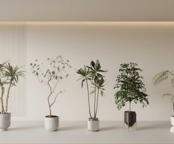 Modern Ground Green Plant Potted Plants-ID:523169049