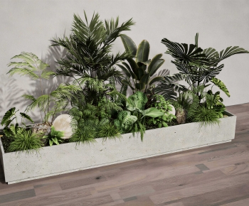 Modern Plant Landscaping-ID:902844913