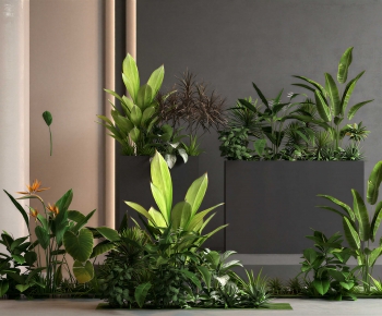 Modern Flower Bed, Flower Bowl, Flower Box-ID:657572987