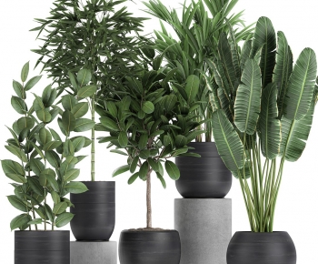 Modern Ground Green Plant Potted Plants-ID:598668109