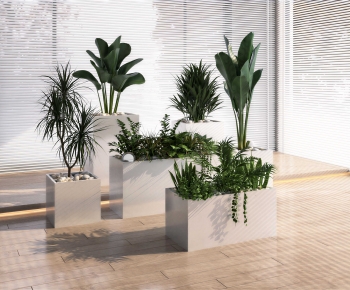 Modern Flower Bed, Flower Bowl, Flower Box-ID:195430994