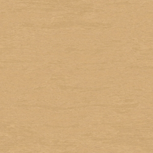 ModernWood Texture