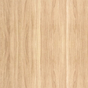 ModernWood Texture