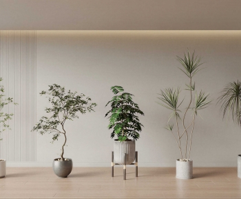 Modern Ground Green Plant Potted Plants-ID:341794979