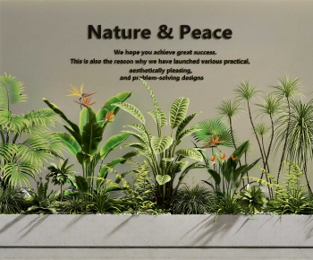 Modern Flower Bed, Flower Bowl, Flower Box-ID:361762058