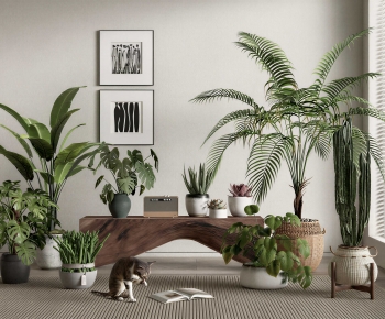 Modern Ground Green Plant Potted Plants-ID:878539133