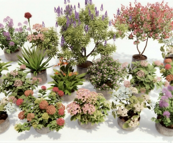 Modern Ground Green Plant Potted Plants-ID:503962041