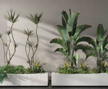 Modern Flower Bed, Flower Bowl, Flower Box-ID:788358938