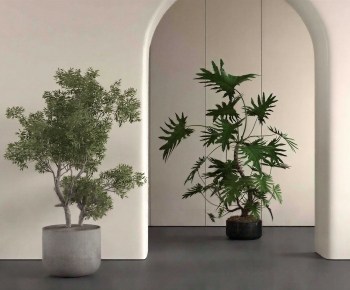 Modern Ground Green Plant Potted Plants-ID:303567897