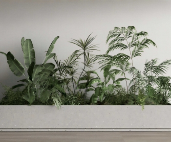 Modern Flower Bed, Flower Bowl, Flower Box-ID:333890923