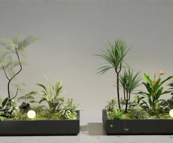 Modern Flower Bed, Flower Bowl, Flower Box-ID:238157992