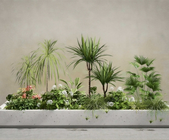 Modern Flower Bed, Flower Bowl, Flower Box-ID:556566954