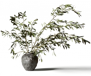 Modern Aquatic Green Plant-ID:847801922