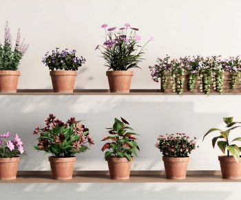 Modern Potted Green Plant-ID:635149966