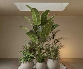 Modern Ground Green Plant Potted Plants-ID:723901039