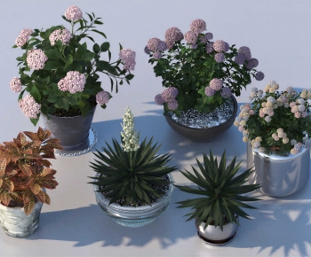 Modern Potted Green Plant-ID:497946027