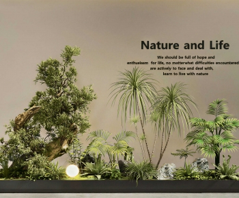 Modern Plant Landscaping-ID:815129042