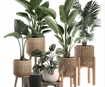 Modern Ground Green Plant Potted Plants-ID:164505003