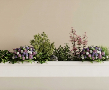 Modern Flower Bed, Flower Bowl, Flower Box-ID:446208956