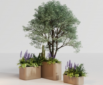 Modern Flower Bed, Flower Bowl, Flower Box-ID:214226013