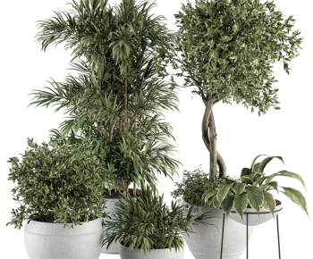 Modern Ground Green Plant Potted Plants-ID:206868895