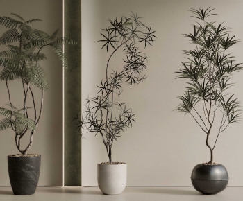 Modern Ground Green Plant Potted Plants-ID:349733119