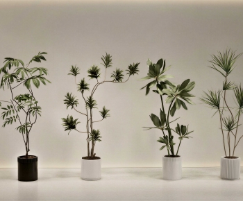 Modern Ground Green Plant Potted Plants-ID:112852106