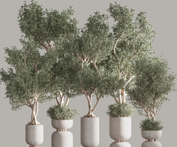 Modern Ground Green Plant Potted Plants-ID:986299585