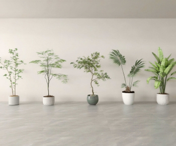 Modern Ground Green Plant Potted Plants-ID:625438938