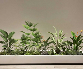 Modern Flower Bed, Flower Bowl, Flower Box-ID:178947935