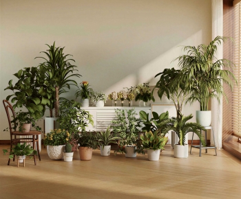 Modern Ground Green Plant Potted Plants-ID:691169982