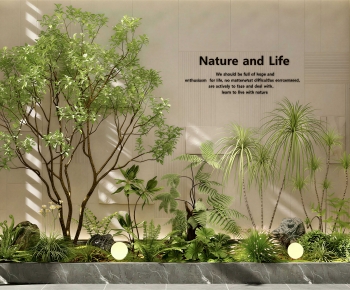 Modern Plant Landscaping-ID:129050973