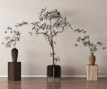 Wabi-sabi Style Aquatic Green Plant-ID:378185036