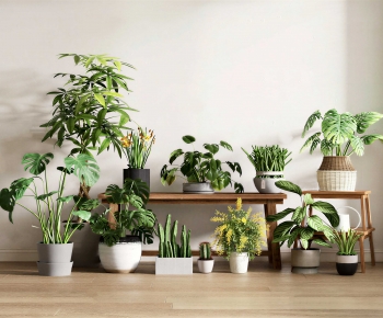 Modern Potted Green Plant-ID:101509192