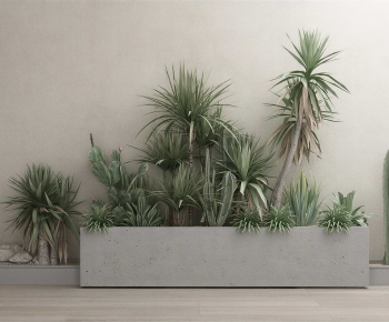 Modern Flower Bed, Flower Bowl, Flower Box-ID:763544088