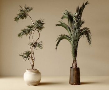 Wabi-sabi Style Ground Green Plant Potted Plants-ID:100340844