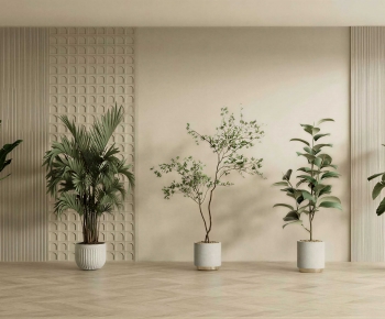 Modern Ground Green Plant Potted Plants-ID:873310653