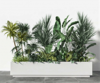 Modern Flower Bed, Flower Bowl, Flower Box-ID:208439115