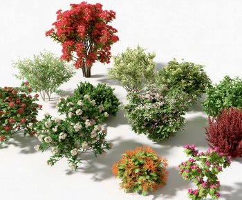 Modern Shrubbery-ID:837871077