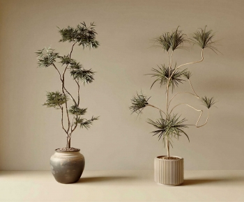 Wabi-sabi Style Ground Green Plant Potted Plants-ID:545183904