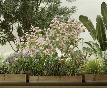 Modern Flower Bed, Flower Bowl, Flower Box-ID:120770936