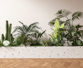 Modern Flower Bed, Flower Bowl, Flower Box-ID:163542034