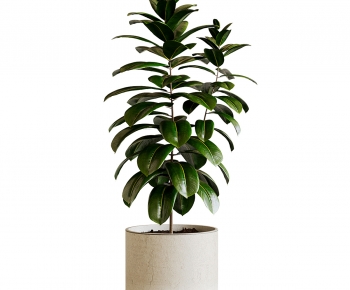 Modern Ground Green Plant Potted Plants-ID:249054919