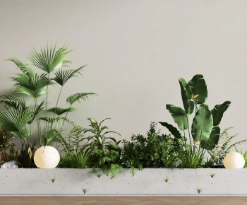 Modern Flower Bed, Flower Bowl, Flower Box-ID:177622081