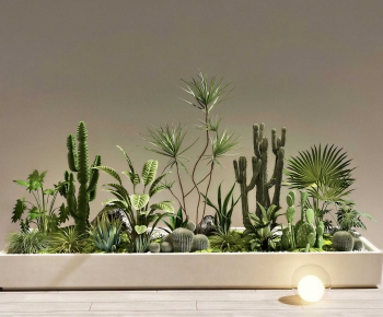 Modern Flower Bed, Flower Bowl, Flower Box-ID:682385928