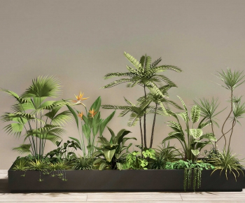 Modern Flower Bed, Flower Bowl, Flower Box-ID:904840951