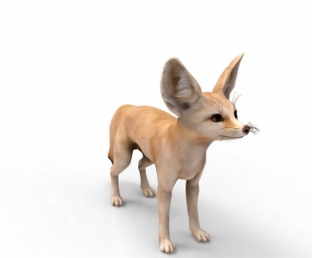 Modern Animal Cat-ID:626316073