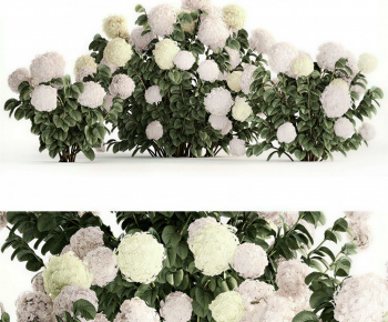 Modern Flowers And Grass-ID:676906116