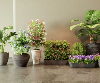 Modern Flower Bed, Flower Bowl, Flower Box-ID:610706096