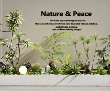 Modern Plant Landscaping-ID:613007071